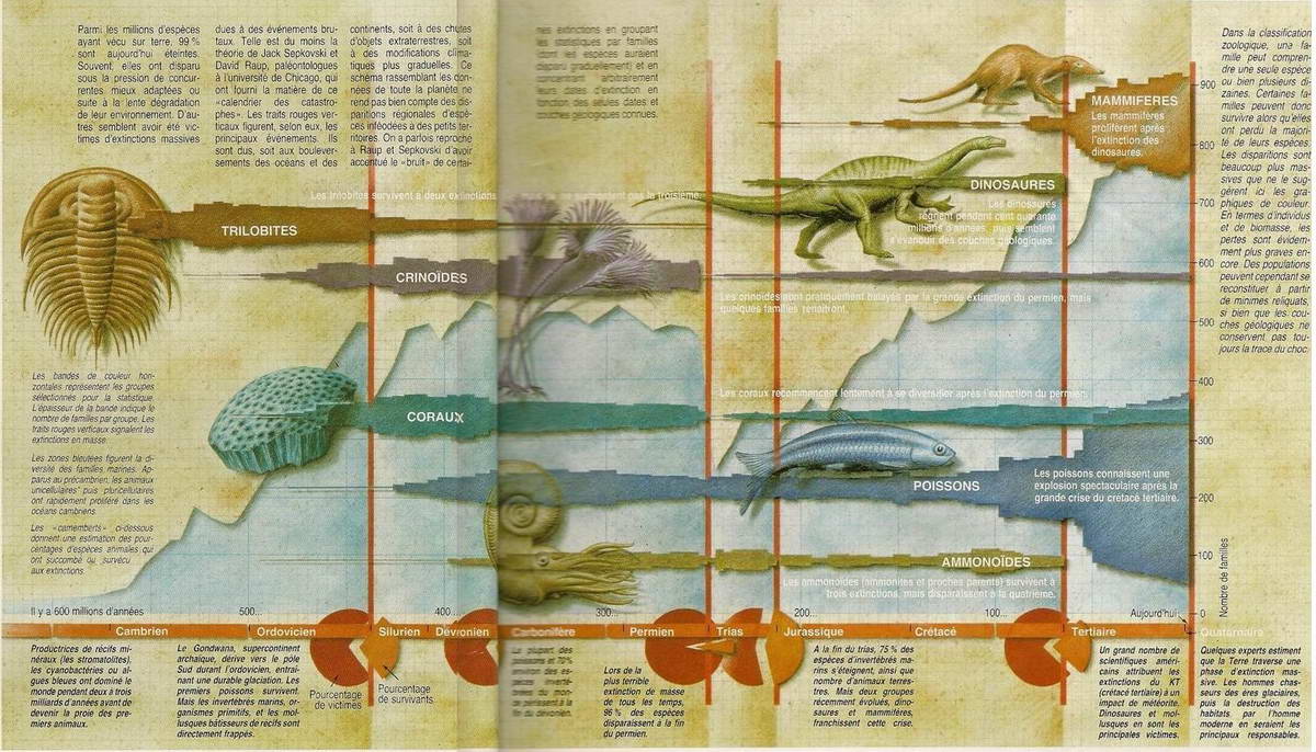 Premiers signes de vie et dinosaures (Entre 550 et 1,8 MA)