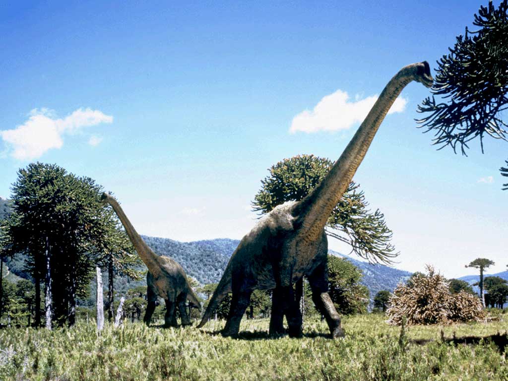 image: Brachiosaurus%20%282%29